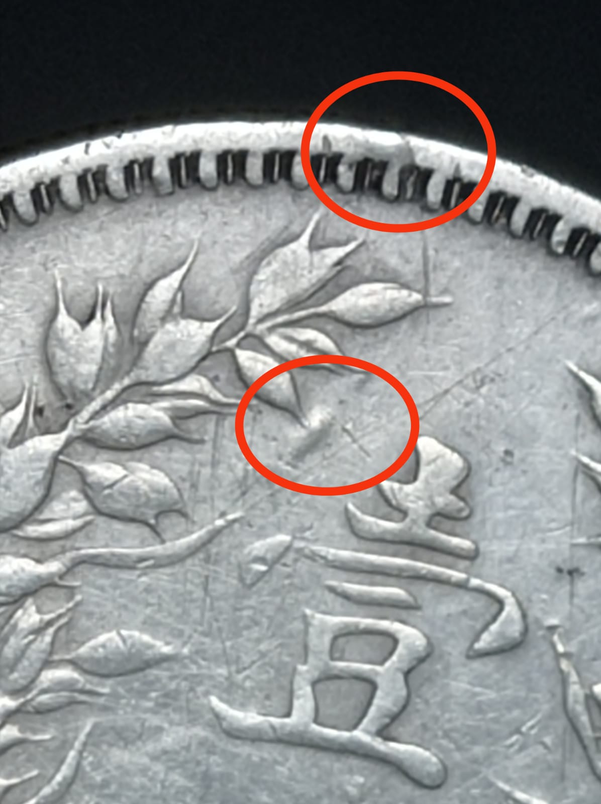 1920-Fat-Man-Dollar-PMD-Or-Otherwise?